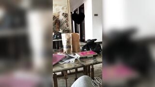 Em gái cứ được nghỉ cuối tuần là lại địt nhau loạn luân với anh kế P1