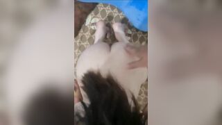 Bố cưới được mẹ kế giỏi bú cu bú lỗ đít