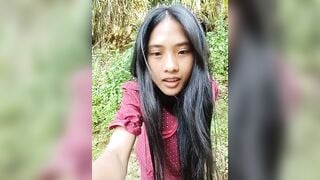 Hoa-tuylip  14/08/2026