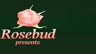 Những cô nàng gợi cảm ở khu phố Tàu 2 (1992)  PornOne ex vPorn