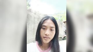 Hoa-tuylip  16/08/2026