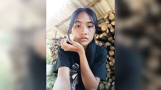Hoa-tuylip  17/08/2026