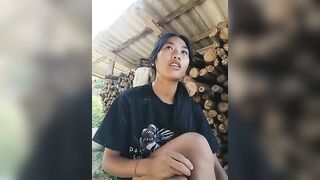 Hoa-tuylip  17/08/2026
