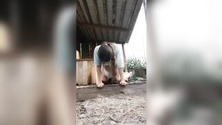 Em gái quê mới lớn khờ dại tụt quần để chó nghịch lồn.
