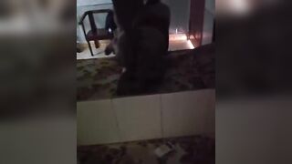bé 2k8 dâm nhưng vẫn ngại không cho anh bật đèn lúc chịch - phần 1