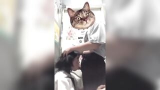 Dẫn em ny mặt dâm vô nvs bú cu