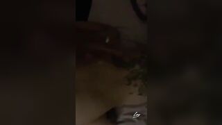 Doggy vợ của đại ca giang hồ