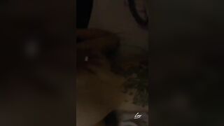 Doggy vợ của đại ca giang hồ