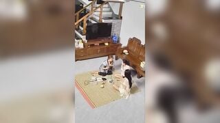 XEM CAM THẤY BÀ MẸ KẾ VÀ 2 ĐỨA EM ĐỌ VÚ XEM AI TO KAKA