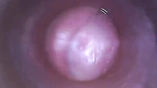 Muốn biết bên trong cái lồn như thế nào hãy xem video này