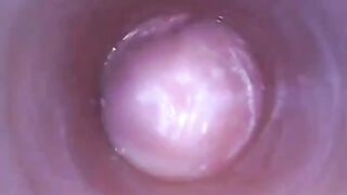 Muốn biết bên trong cái lồn như thế nào hãy xem video này