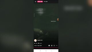 Ánh Coca Cola Trả Kèo Địt Vợ Trên Livestream