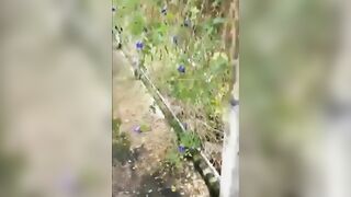 Lôi em vợ ra sau nhà bú cu