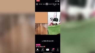 Trả kèo Tiktok, Lấy lồn Kẹp Son trên live