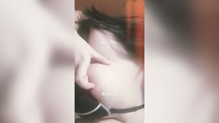 Ai bắt bé mèo này về nuôi đi