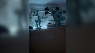 Quay lén cặp sinh viên phòng bên địt nhau