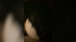 Cô gái hơi mũm mĩm với vẻ ngoài tương phản nổi bật.