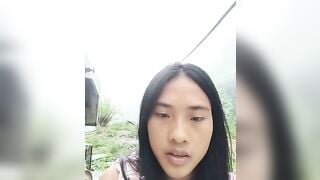 Hoa-tuylip  17/09/2026