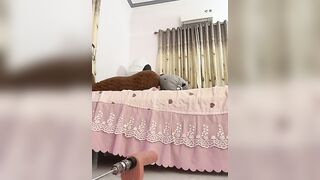 zhutou140 16/09/2026 4