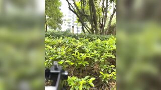 Gái dâm xinh vú to lồn múp ra công viên thủ dâm khoe hàng dâm đãng