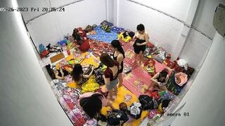 Hack cam ngay 1 ổ nhền nhện 1