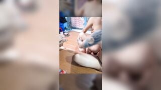 Đánh bài djt nhau với 2 MBBG Đồng nghiệp, Vú To thủ dâm Bú Cu Live sex