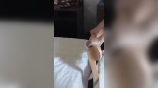 TỔNG HỢP CON ĐĨ NỨNG LỒN CLIP SEX VIỆT NAM PHẦN 33