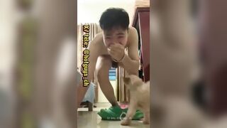 Chó liếm cu