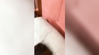Thấy anh chị đang chịch nứng quá xin chị dâu bú cu cho đỡ nứng