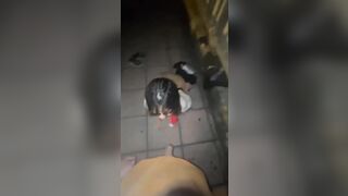 e gái dăm djt nhau trên cầu vượt full ảnh + clip dưới mô tả