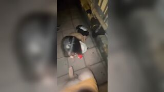 e gái dăm djt nhau trên cầu vượt full ảnh + clip dưới mô tả
