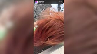 Clip vì cái buồi khủng đánh tụt áo vú con em non nớt