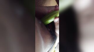 Vẫn chưa có dưa leo mới:3