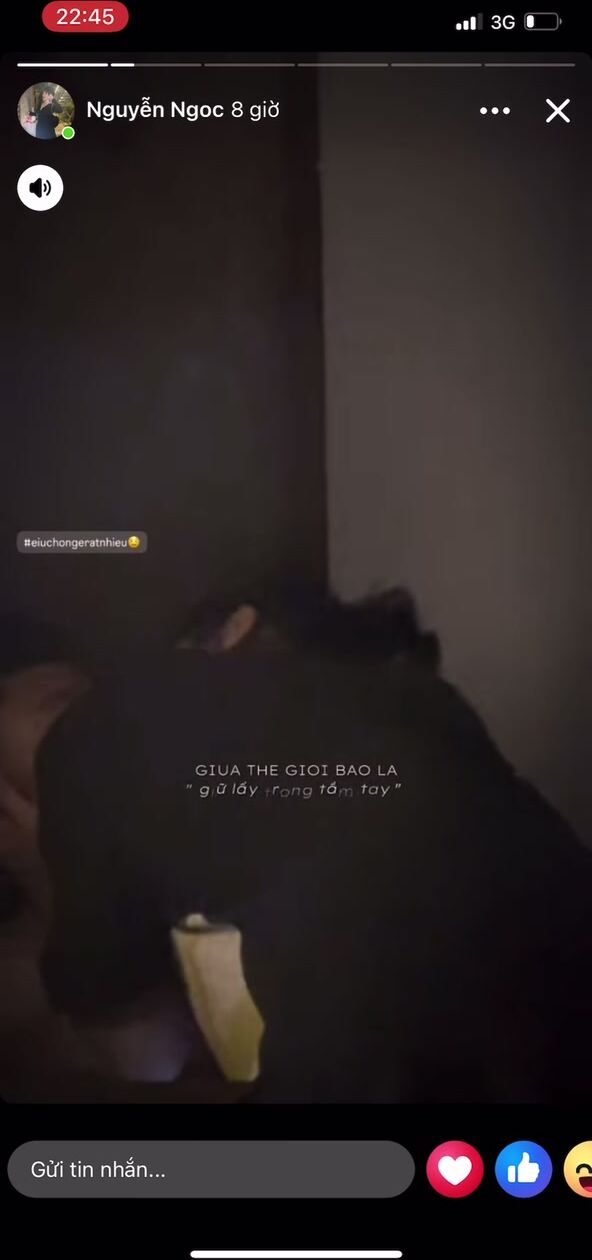 nguyễn ngọc lộ clip