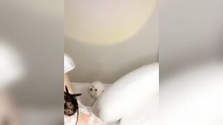 Gái xinh live lộ hàng khi bán hàng online