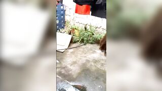 Gạ Em Hàng Xóm Đang Phơi Quần Lót Chịch Xã Giao