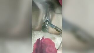 Thủ dâm độc lạ cho ếch vào lồn