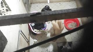Tác nghiệp nhà tắm 4
