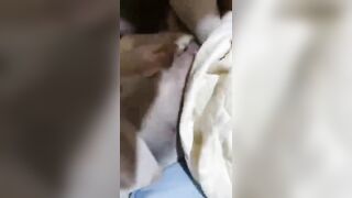 Ông chú nuôi chó mấy tháng trời để phá trinh vừa địt vừa rên sướng