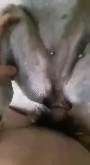 Địt chó cũng sướng cặc lắm mọi ng