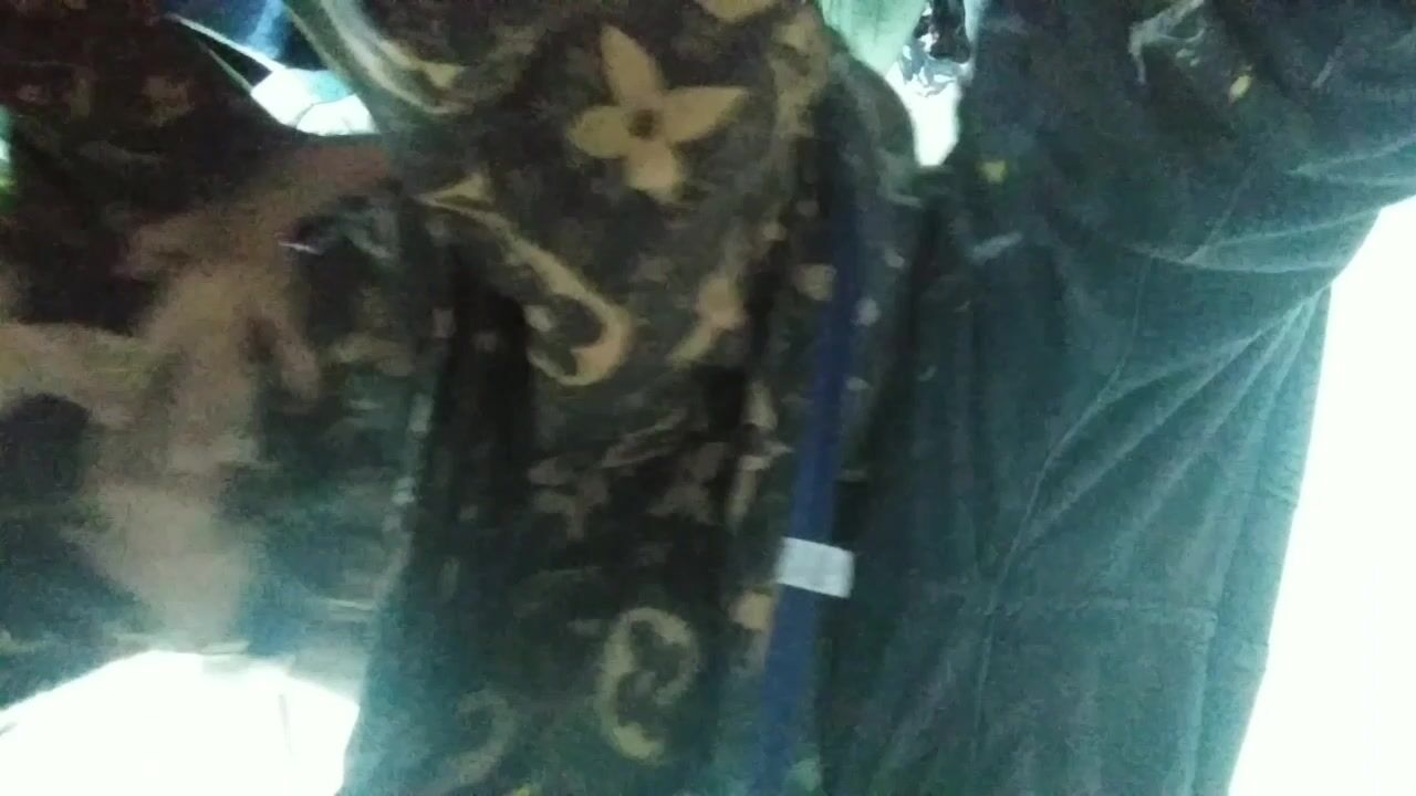 Sưu tầm 238