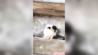 Học sinh lén bú liếm ngay ngoài ngõ