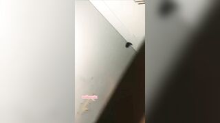 Bé non tơ ăn nhau luôn wc nhà hàng