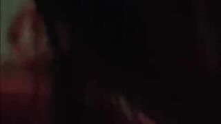 Cẩm ly