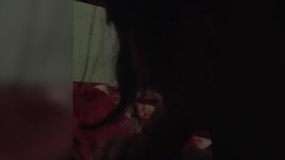 Cẩm ly
