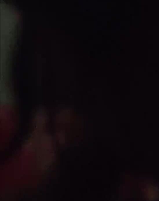 Cẩm ly