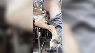 Thợ hồ nghỉ trưa địt chó kế bên người ta nghỉ ngơi ăn trưa nói chuyện