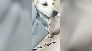 Thử Một Lần Cho Vk chơi lớn ????
