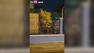 Đi dạo phố , đè đụ nữa tu sĩ giữa đường