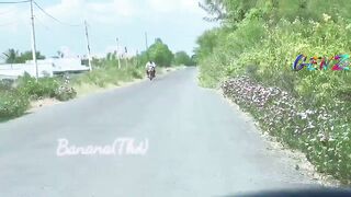 Sưu tầm 274